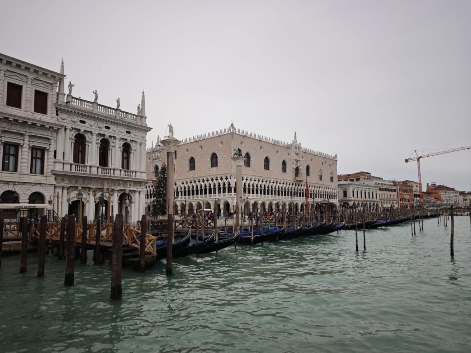 Casa Re Del Bosco - Airport Appartement Venise